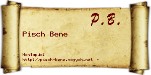 Pisch Bene névjegykártya